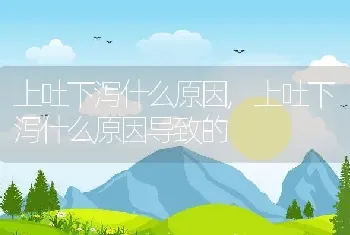 上吐下泻什么原因，上吐下泻什么原因导致的