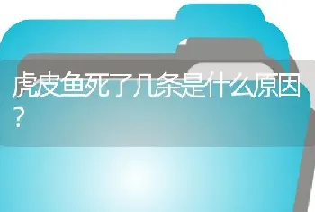 虎皮鱼死了几条是什么原因？