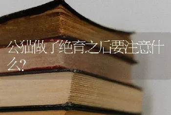 公猫做了绝育之后要注意什么？