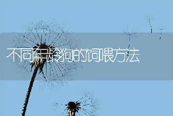 水产养殖贴士：高温季节南美白对虾池管理要点