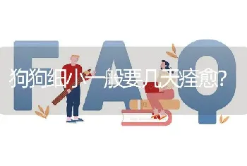 狗狗细小一般要几天痊愈？