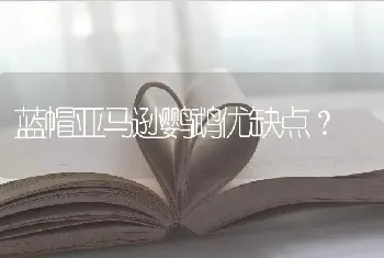 蓝帽亚马逊鹦鹉优缺点？