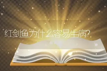 红剑鱼为什么容易生病？