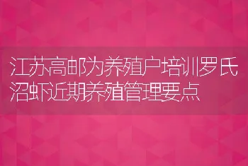 江苏高邮为养殖户培训罗氏沼虾近期养殖管理要点