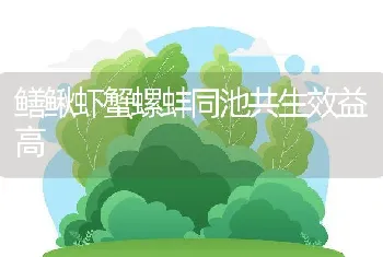 蜜蜂避光防燥安静休眠