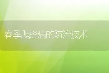 春季爬蜂病的防治技术