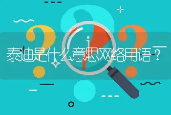 泰迪是什么意思网络用语？