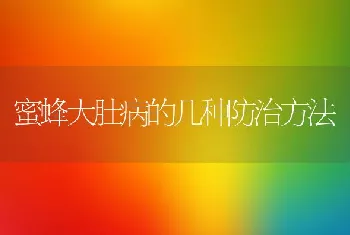 蜜蜂大肚病的几种防治方法