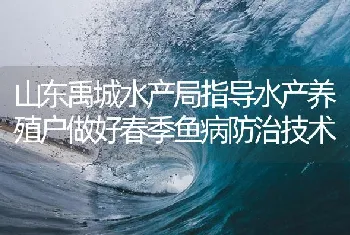 山东禹城水产局指导水产养殖户做好春季鱼病防治技术