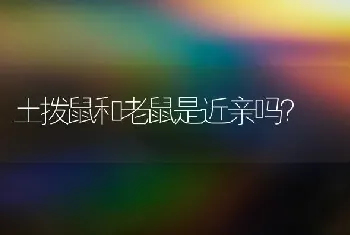 泰迪狗寿命一年顶人多少年？