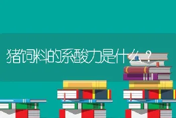 猪饲料的系酸力是什么？