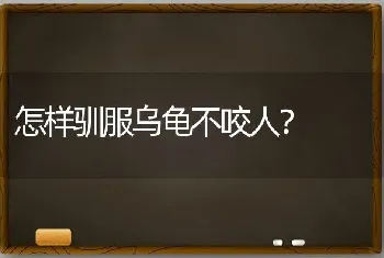 怎样驯服乌龟不咬人？