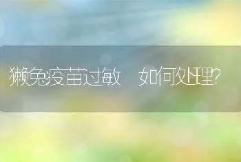 獭兔疫苗过敏 如何处理？