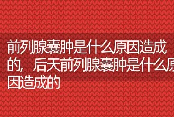 前列腺囊肿是什么原因造成的，后天前列腺囊肿是什么原因造成的