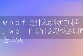 woof是什么动物的叫声，wolf是什么动物的叫声怎么读