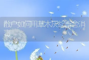 罗非鱼链球菌疫苗还需较长时间才能大范围推广