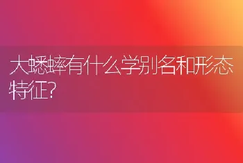 3个月的博美灰色的毛长大后是什么色？