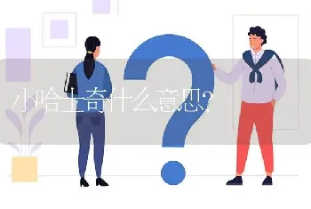 喜欢藏獒的人什么性格？