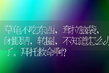 草龟不吃东西，耷拉脑袋，闭眼睛，转圈，不知道怎么办了。拜托救命啊？