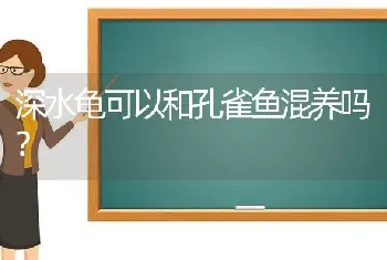 深水龟可以和孔雀鱼混养吗？