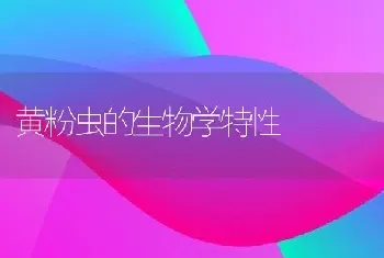 黄粉虫的生物学特性