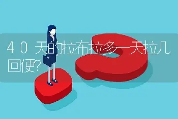 萨摩耶和西施能生出来什么？