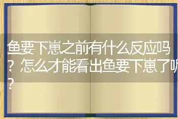 鱼要下崽之前有什么反应吗？怎么才能看出鱼要下崽了呢？