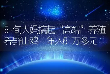 5旬大妈搞起“高端”养殖养野山鸡 年入6万多元