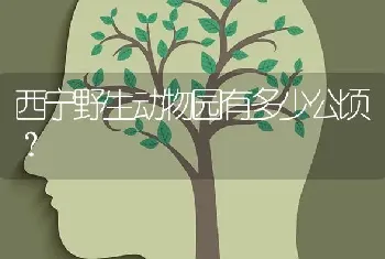 西宁野生动物园有多少公顷？