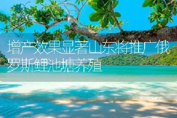 增产效果显著山东将推广俄罗斯鲤池塘养殖