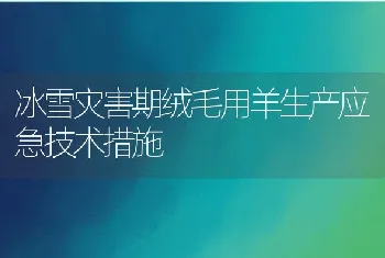 冰雪灾害期绒毛用羊生产应急技术措施