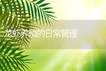 龙虾养殖的日常管理