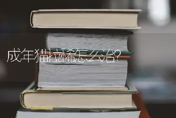 格力犬能经常在公路上遛狗吗？