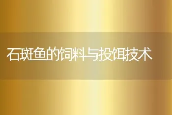 石斑鱼的饲料与投饵技术