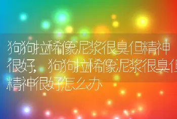 狗狗拉稀像泥浆很臭但精神很好，狗狗拉稀像泥浆很臭但精神很好怎么办