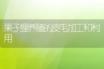 果子狸养殖的皮毛加工和利用