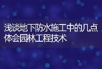 浅谈地下防水施工中的几点体会园林工程技术