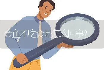 金鱼不吃食是怎么回事？