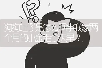 狗狗吐了是怎么回事我家两个月的小金毛今天早？