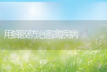 用蜂胶防治畜禽疾病