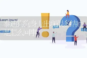 泰迪狗狗身上出现很多结疤是怎么回事？