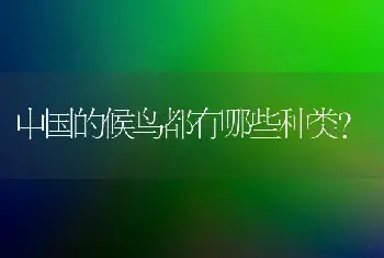 中国的候鸟都有哪些种类？