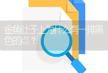 金鱼肚子上为什么有一排黑色的点？