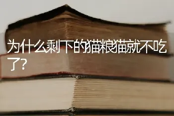 为什么剩下的猫粮猫就不吃了？