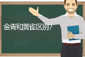 金青和黄雀区别？