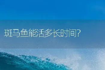 斑马鱼能活多长时间？