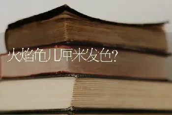 怎么养黄喉拟水龟才能这么黄？