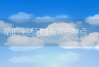 貉的生活习性有哪些特点