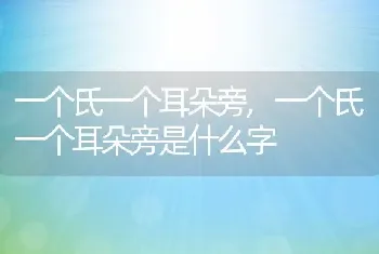 一个氏一个耳朵旁，一个氏一个耳朵旁是什么字