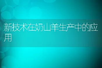 和自繁自养散户讨论母猪的饲养和管理